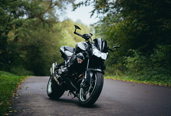 A black cruiser motorcycle on an empty road surrounded by tall trees in a lush, misty forest landscape.