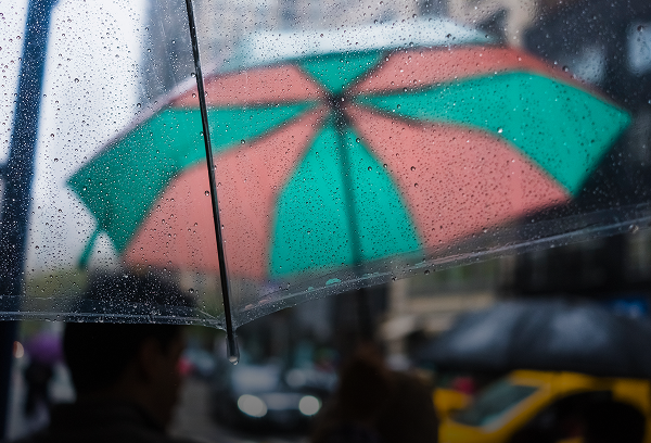 Close-up of water droplets and raindrops beaded on the surface of a clear, transparent plastic umbrella.